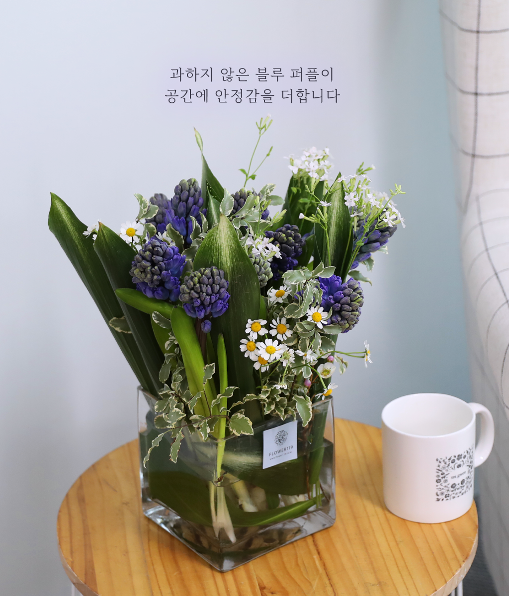 ���� ���� ���� ���� �ɹ��