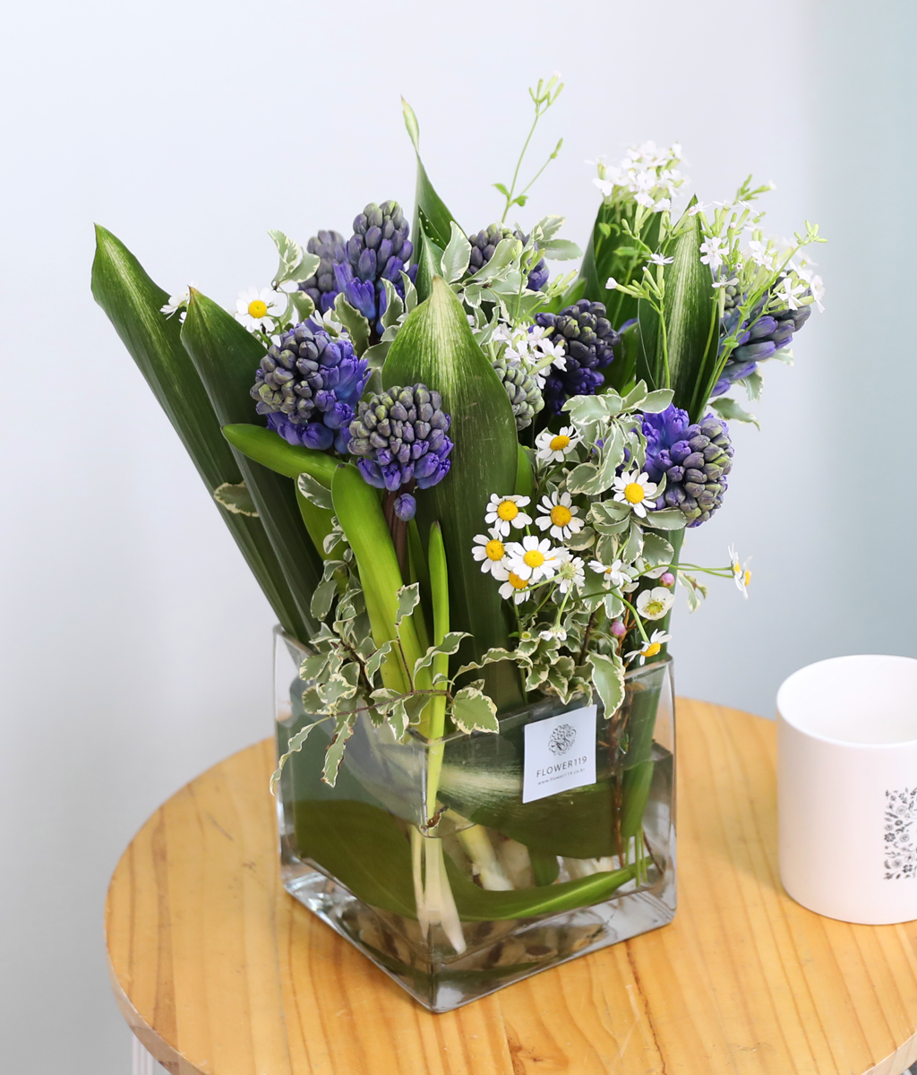 ���� ���� ���� ���� �ɹ��