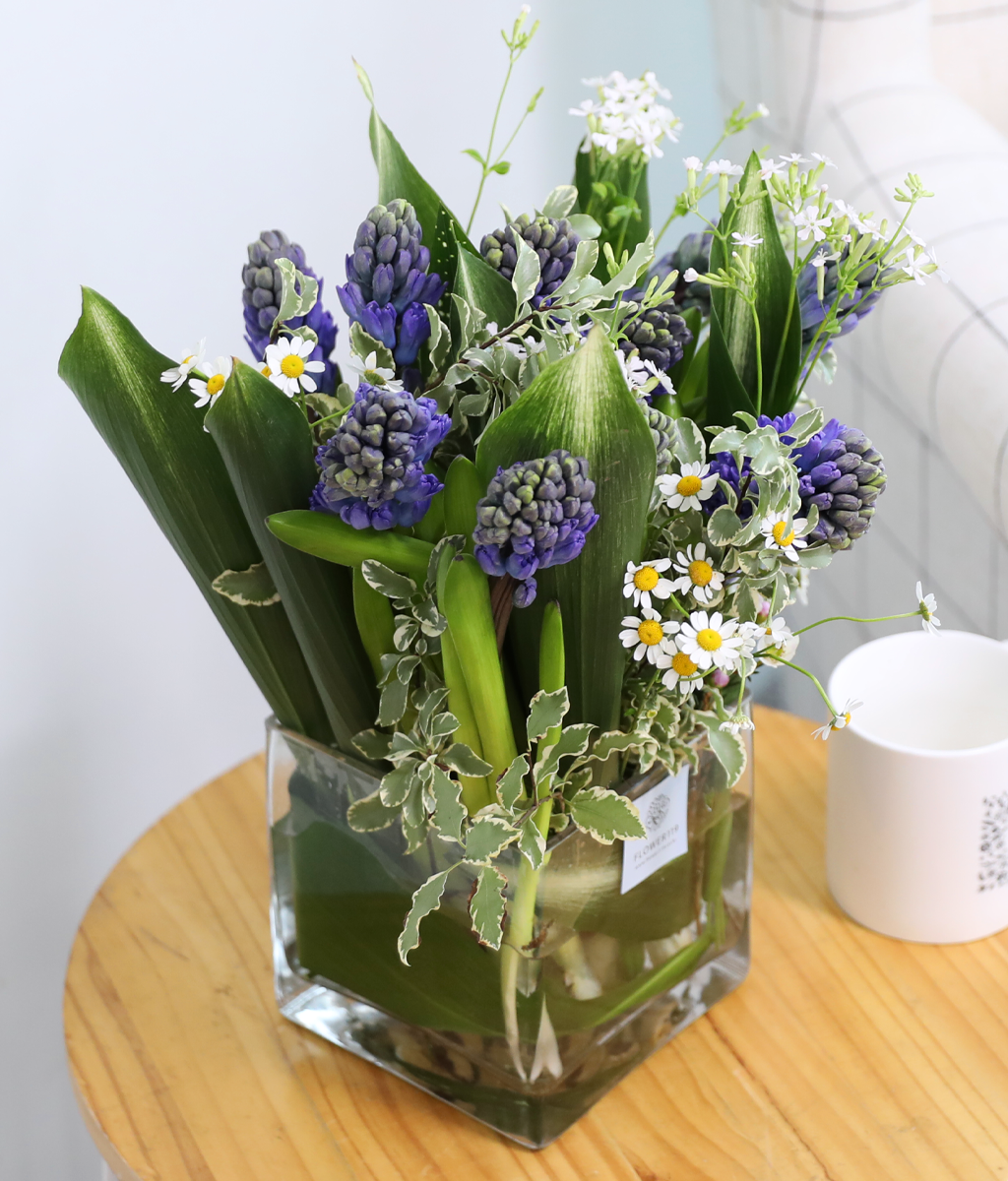 ���� ���� ���� ���� �ɹ��