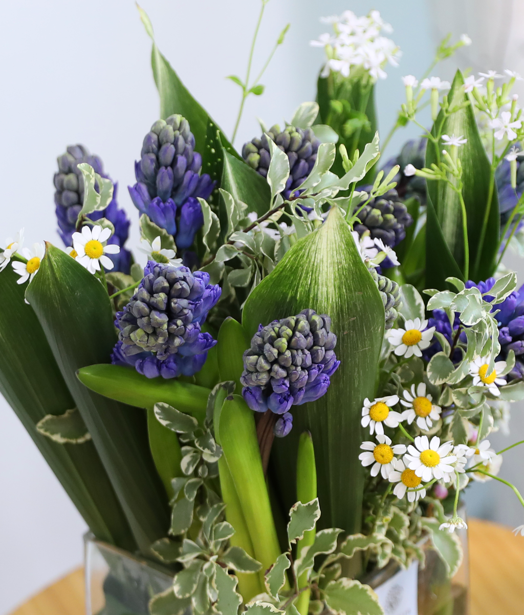 ���� ���� ���� ���� �ɹ��