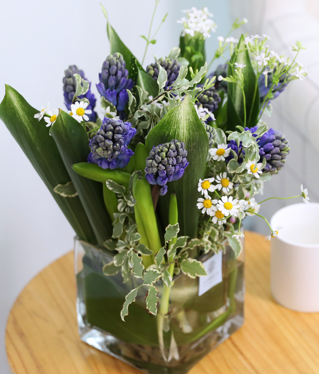 ���� ���� ���� ���� �ɹ��