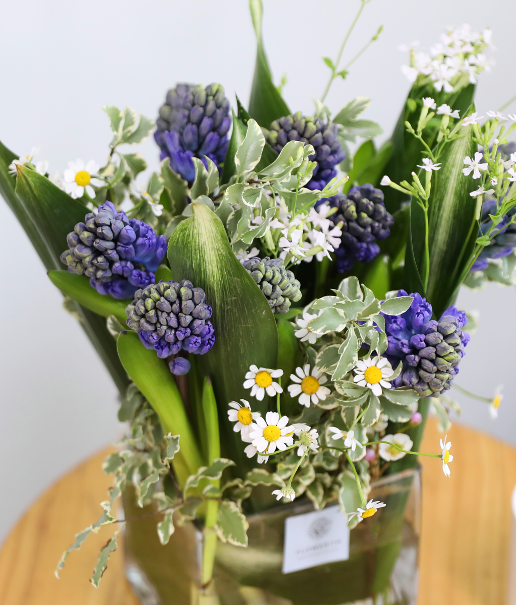 ���� ���� ���� ���� �ɹ��