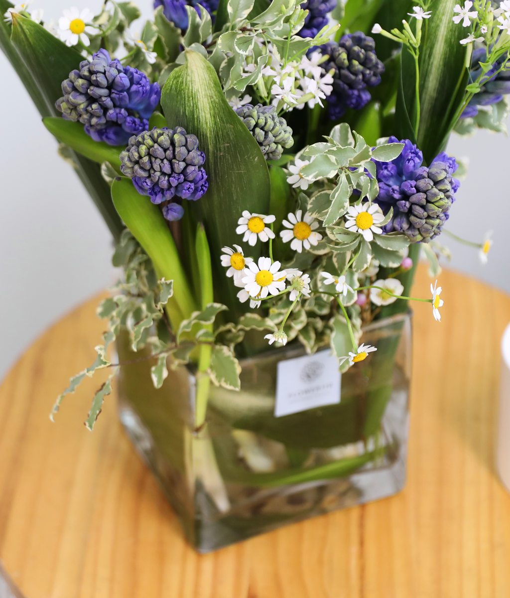 ���� ���� ���� ���� �ɹ��