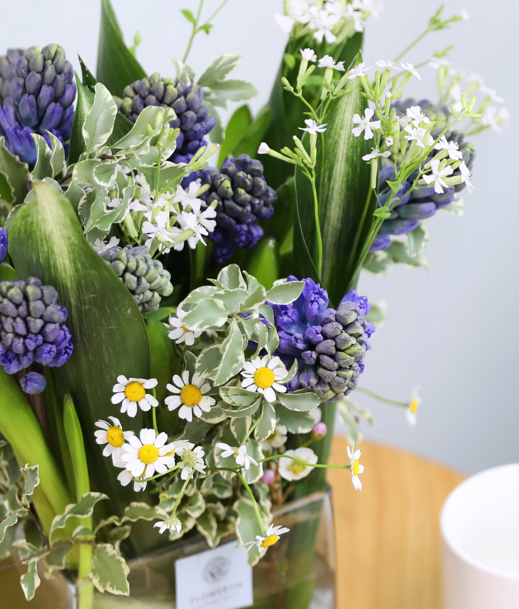 ���� ���� ���� ���� �ɹ��