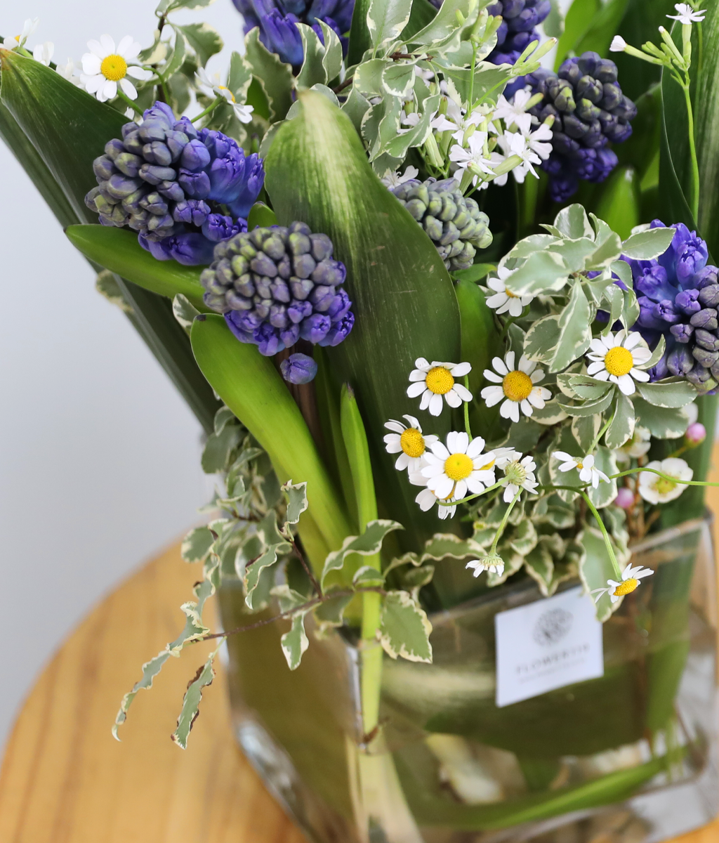 ���� ���� ���� ���� �ɹ��