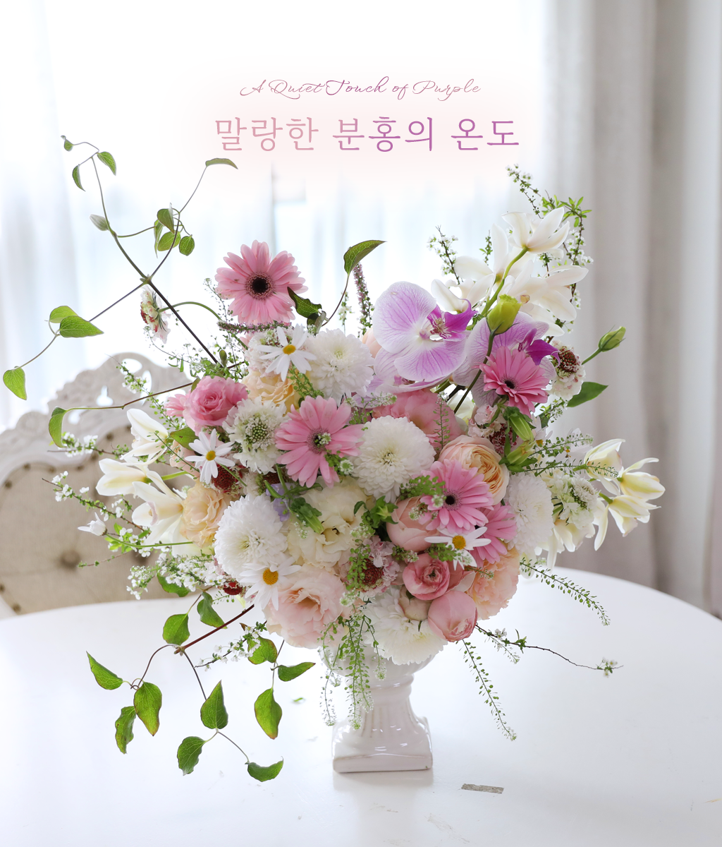 ������ ��ȫ�� �µ� ���� �ɹ��