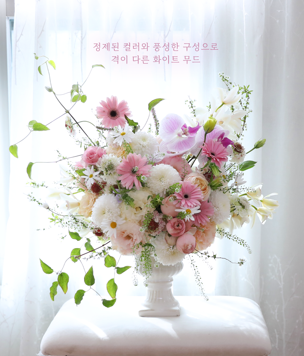 ������ ��ȫ�� �µ� ���� �ɹ��