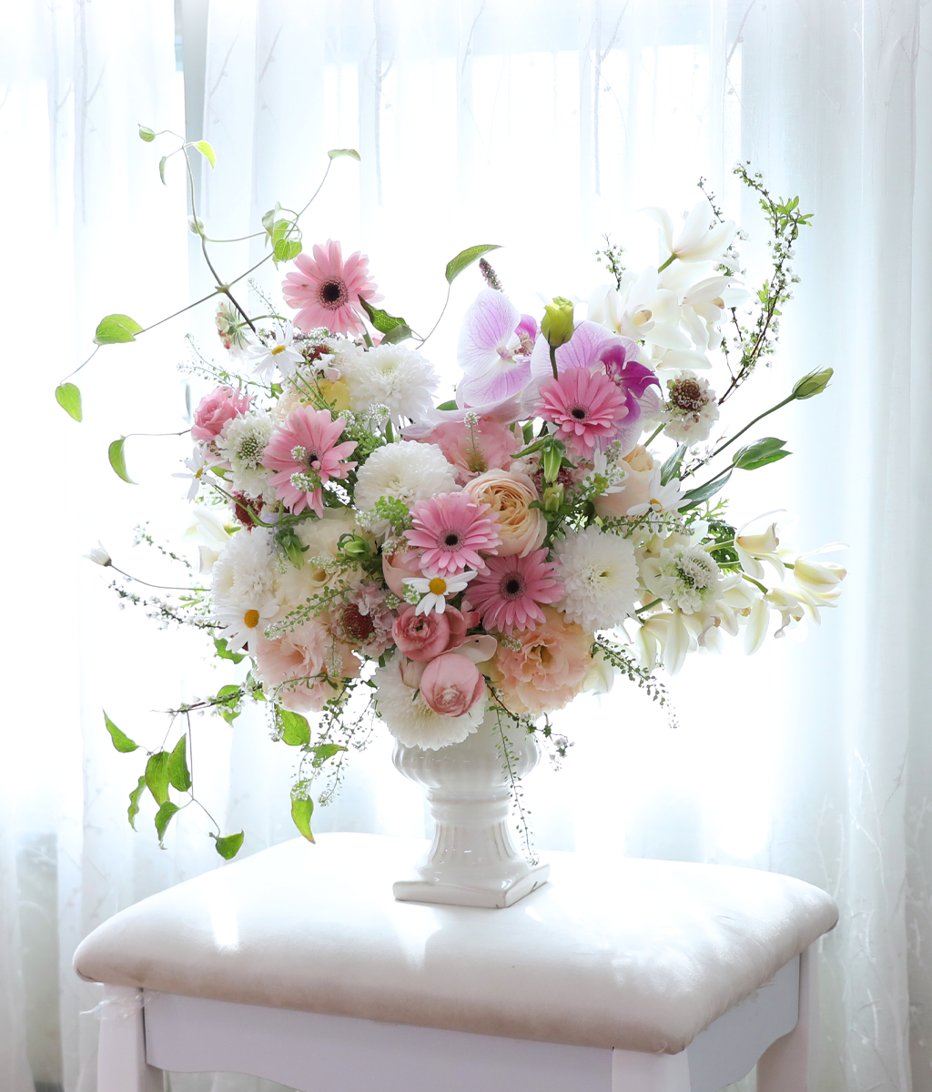 ������ ��ȫ�� �µ� ���� �ɹ��