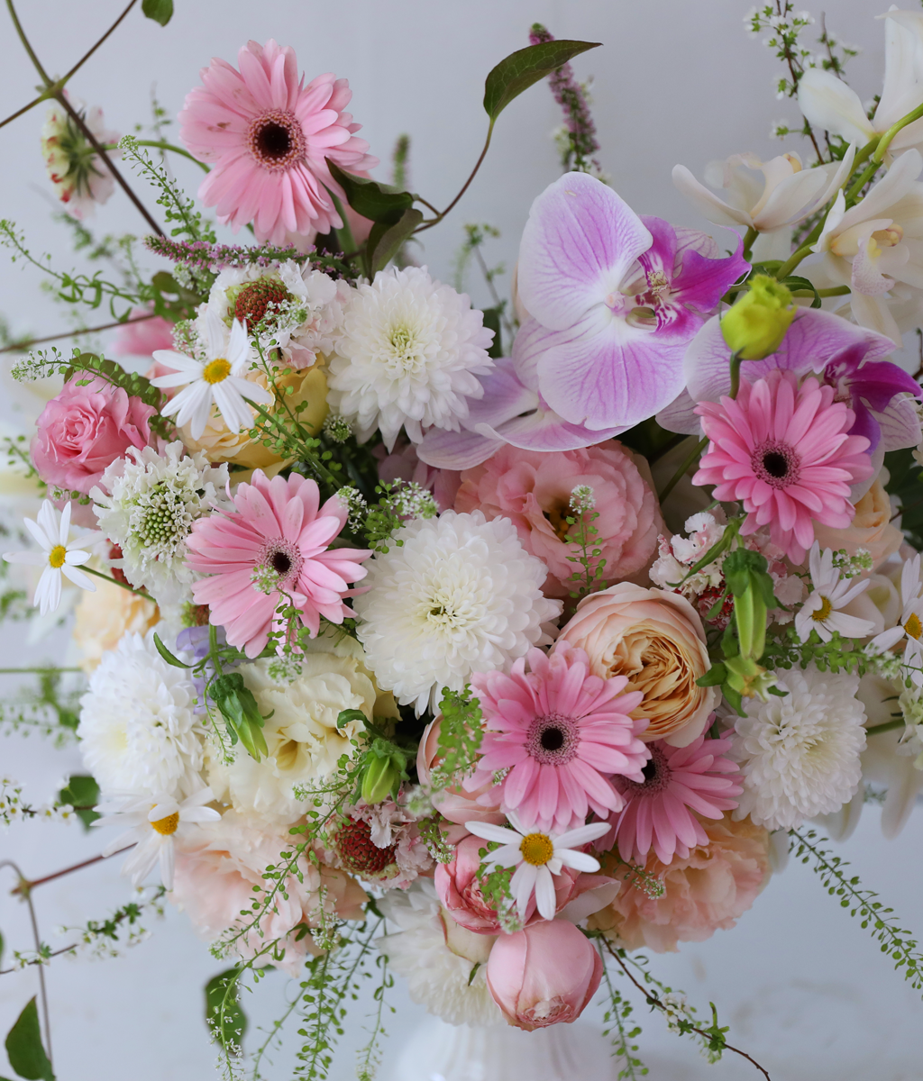 ������ ��ȫ�� �µ� ���� �ɹ��