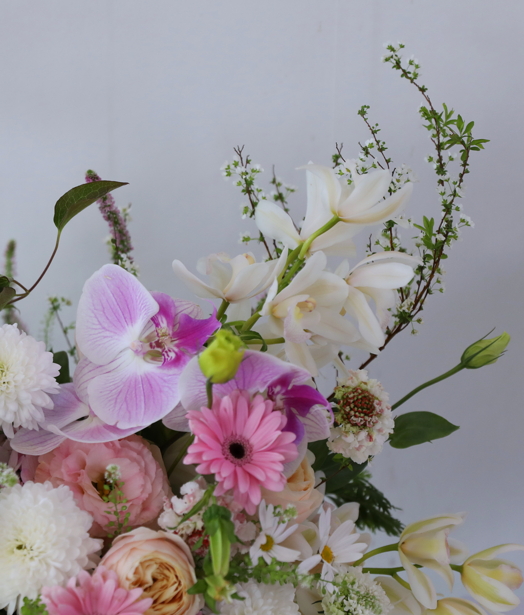 ������ ��ȫ�� �µ� ���� �ɹ��