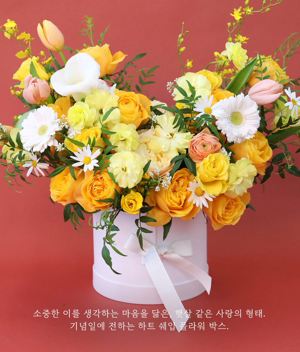 A shape of heart - ����� ���� ��