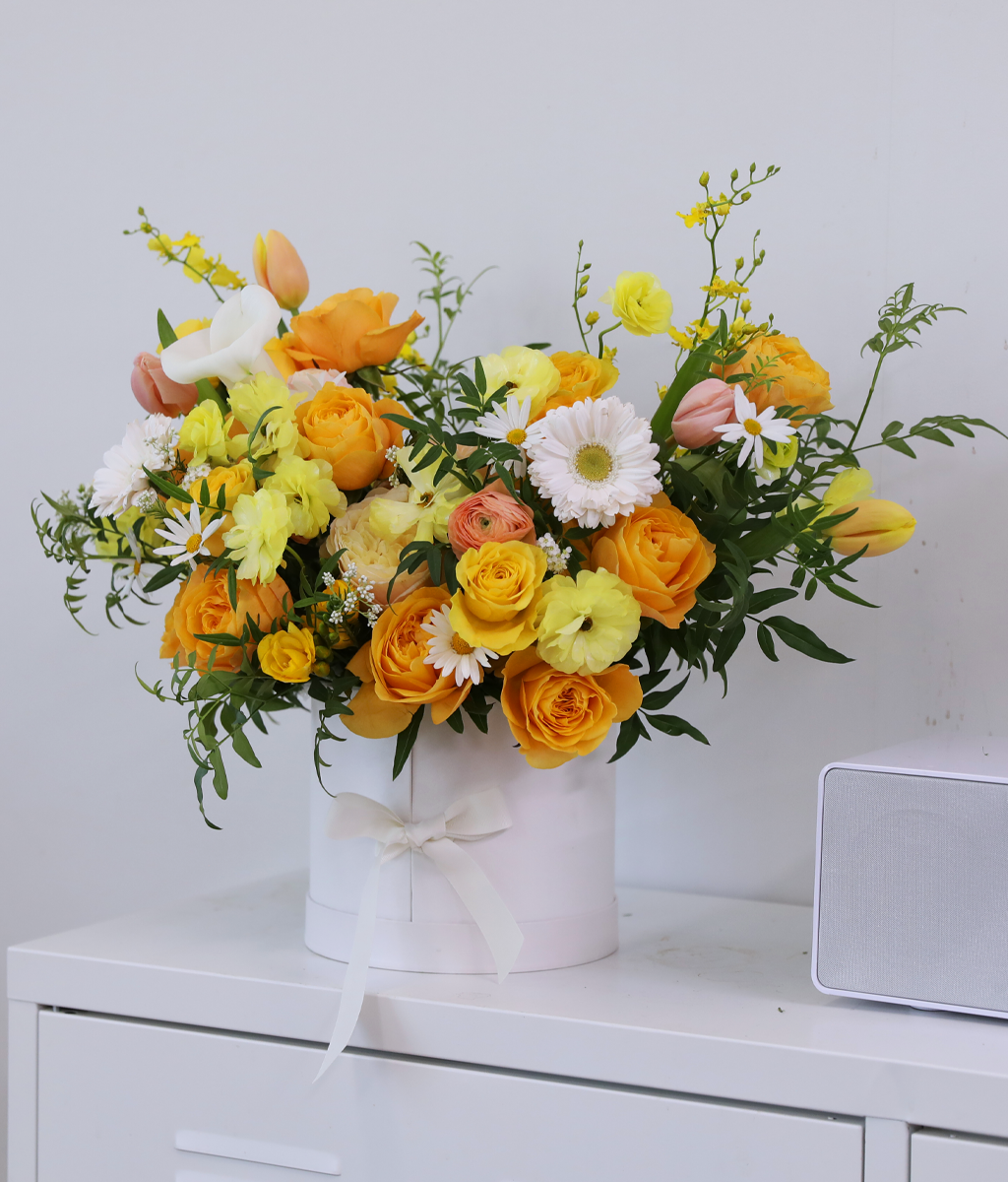 A shape of heart - ����� ���� ��