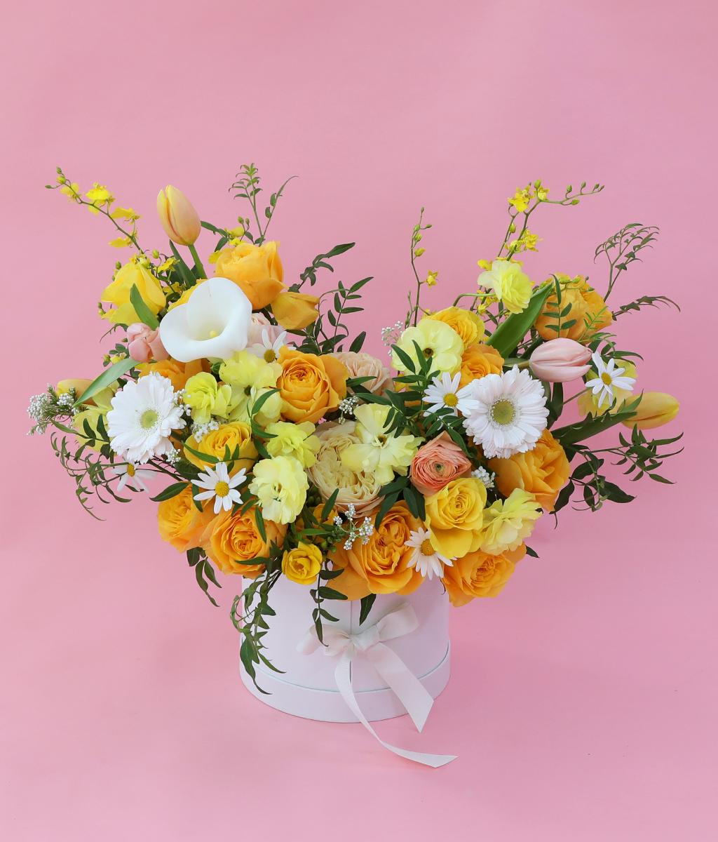 A shape of heart - ����� ���� ��