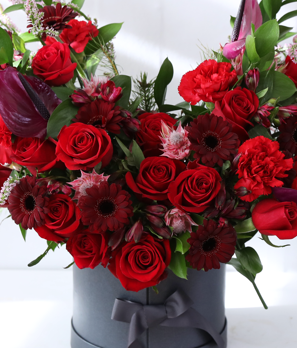 A shape of heart - Crimson Heart