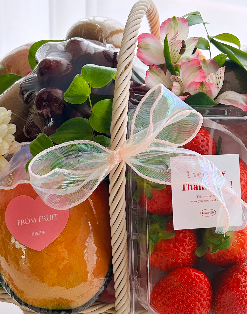 Fruit Gift - L 001 ���� �ɹ��