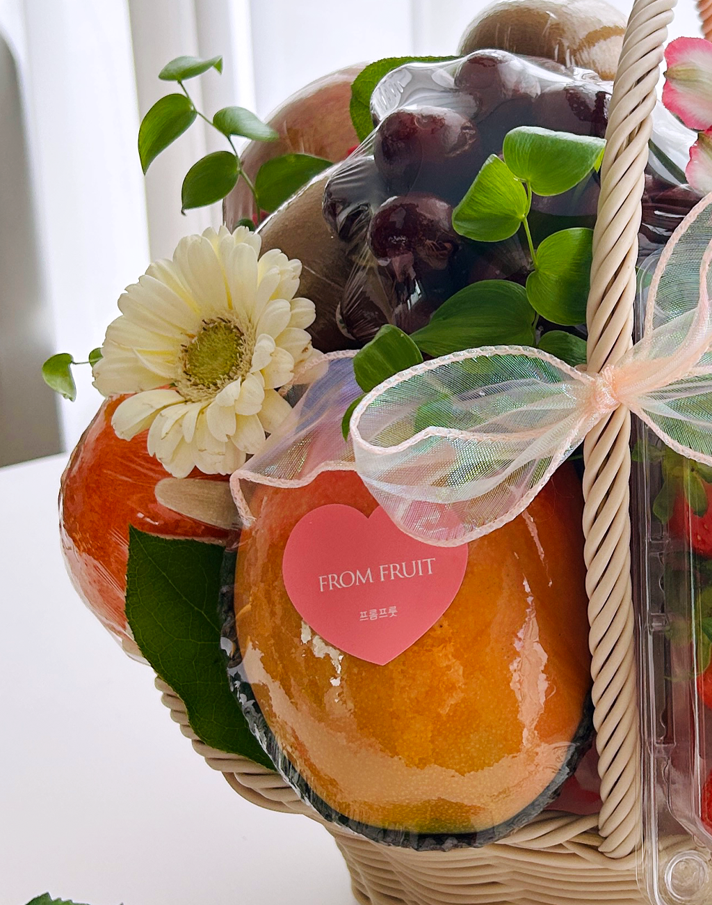 Fruit Gift - L 001 ���� �ɹ��