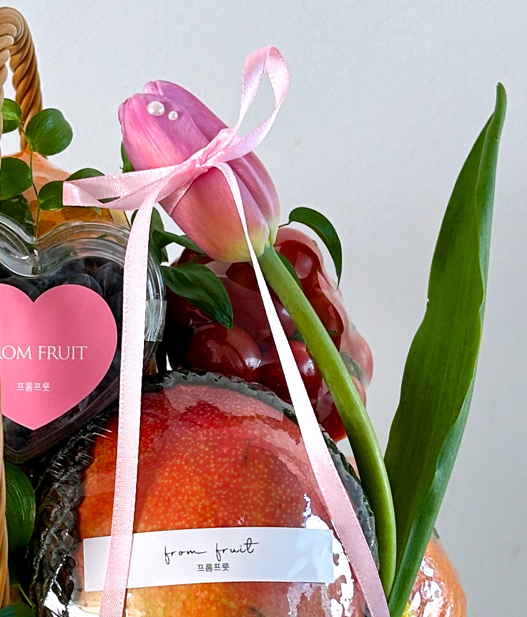 Fruit Gift - M 001 ���� �ɹ��