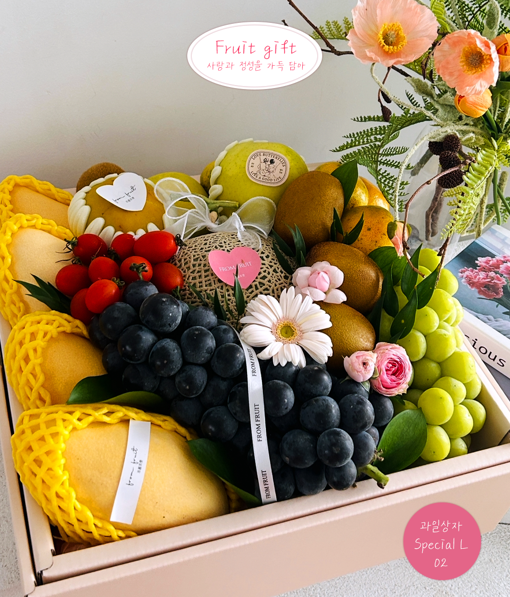 Fruit Gift - Special box L 02 ���� �ɹ��
