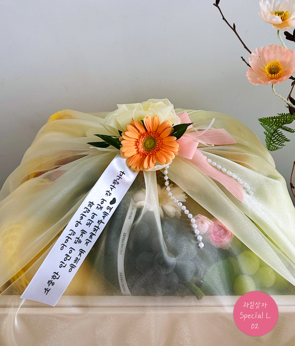 Fruit Gift - Special box L 02 ���� �ɹ��