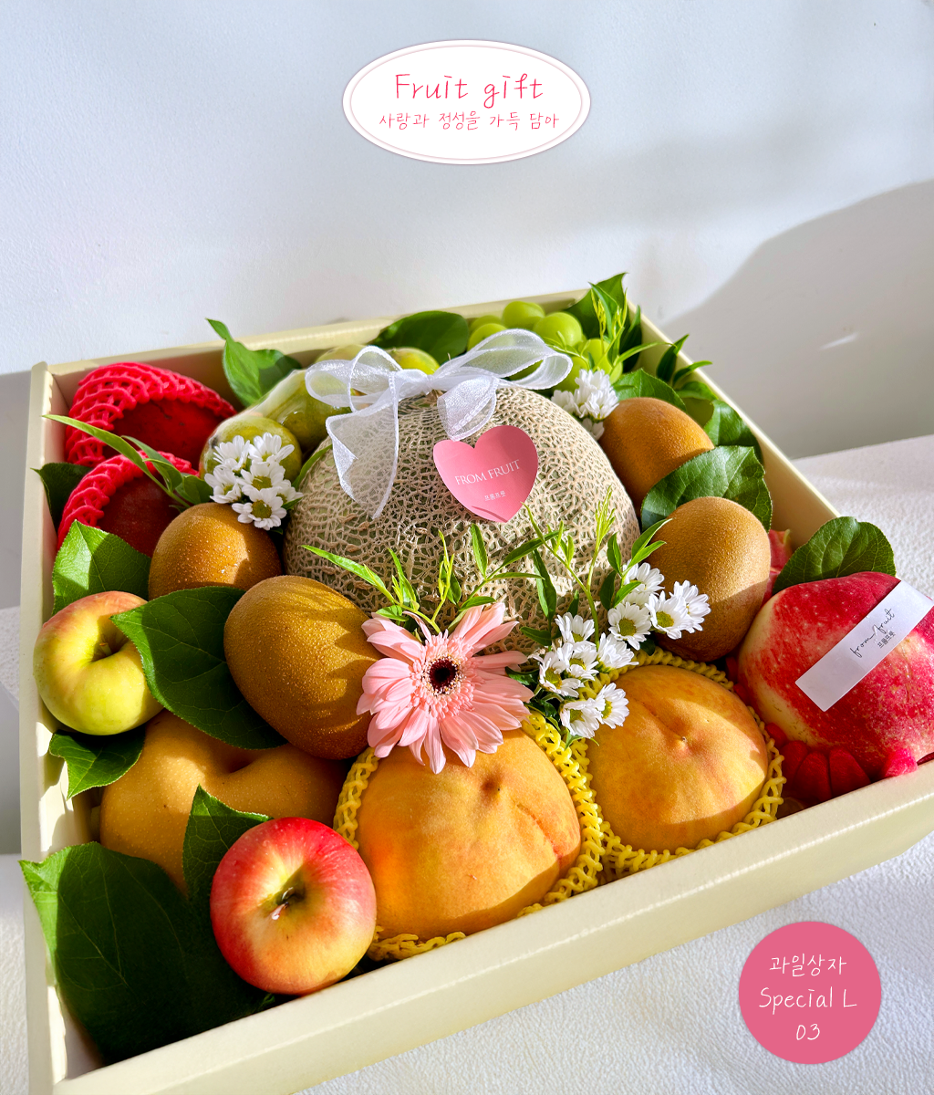 Fruit Gift - Special box L 03 ���� �ɹ��