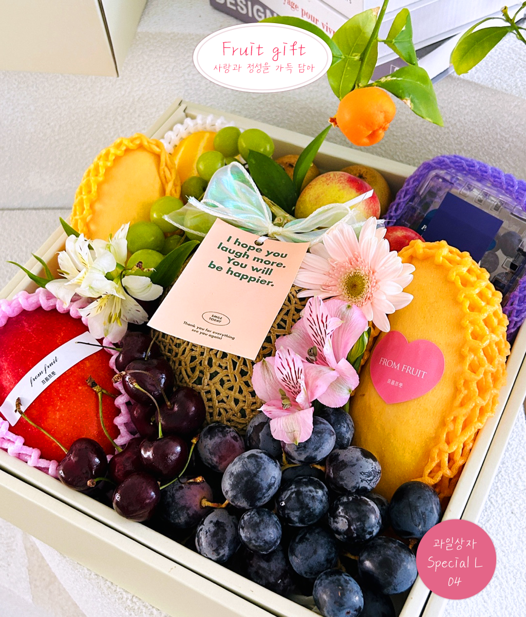 Fruit Gift - Special box L 04 ���� �ɹ��