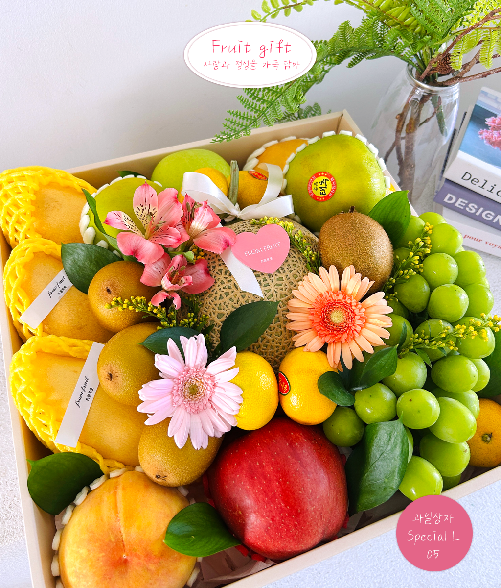 Fruit Gift - Special box L 05 ���� �ɹ��