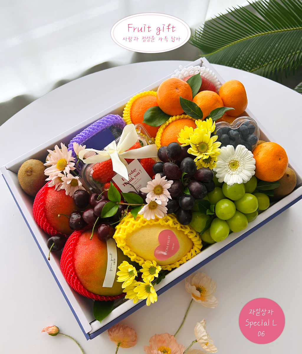 Fruit Gift - Special box L 06 ���� �ɹ��