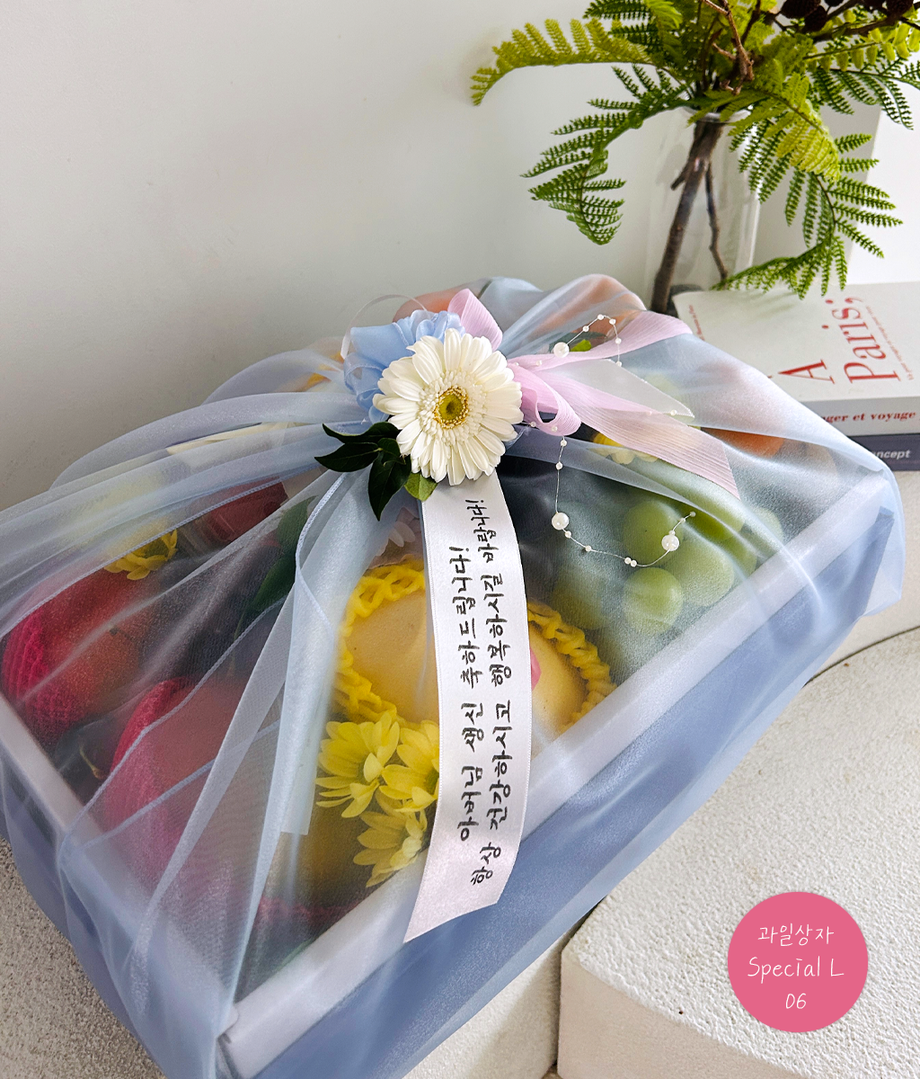 Fruit Gift - Special box L 06 ���� �ɹ��