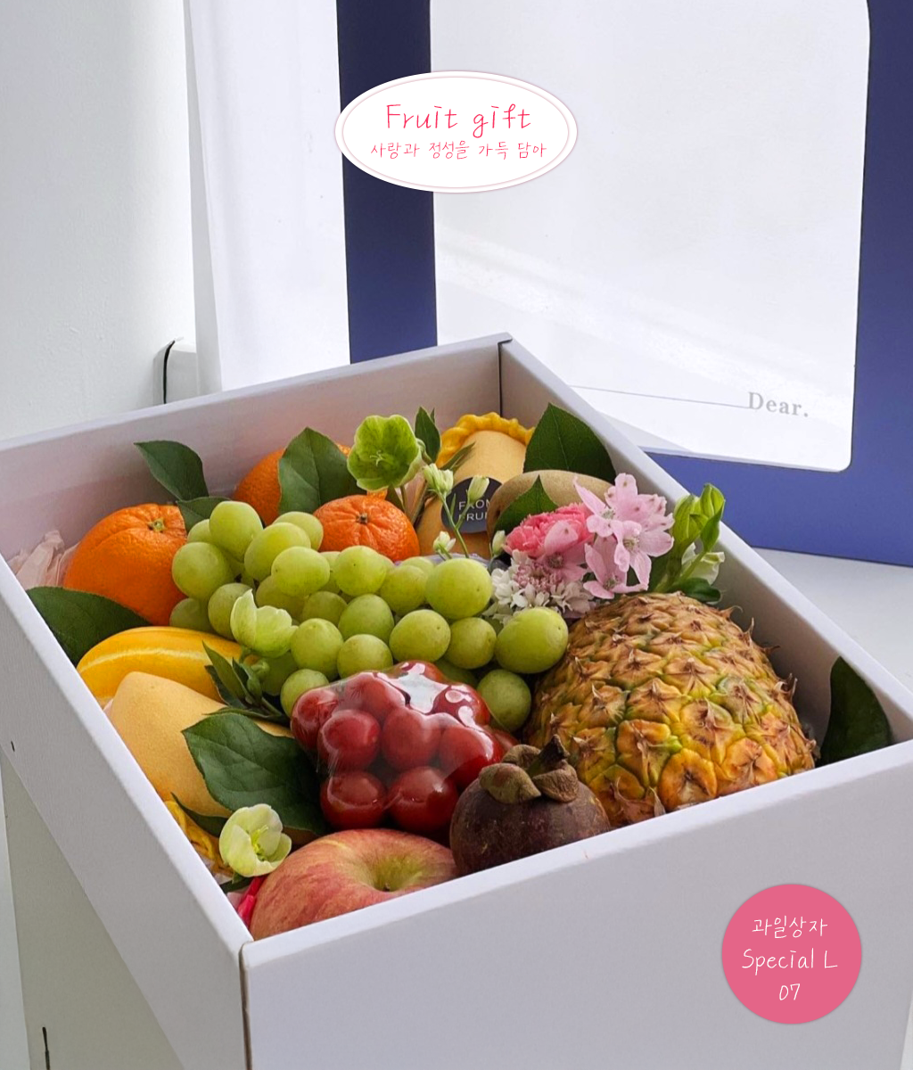 Fruit Gift - Special box L 07 ���� �ɹ��