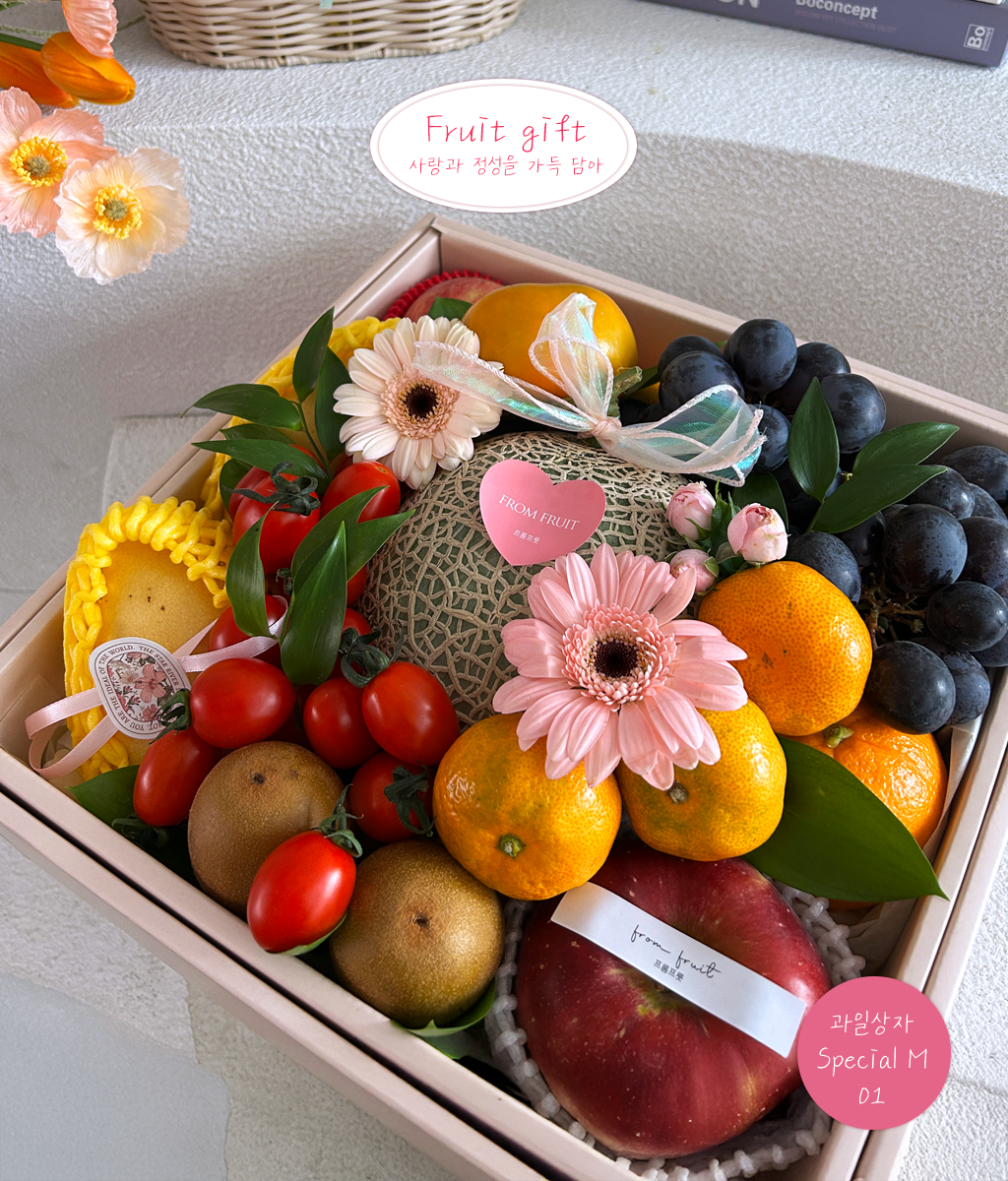 Fruit Gift - Special box M 01 ���� �ɹ��