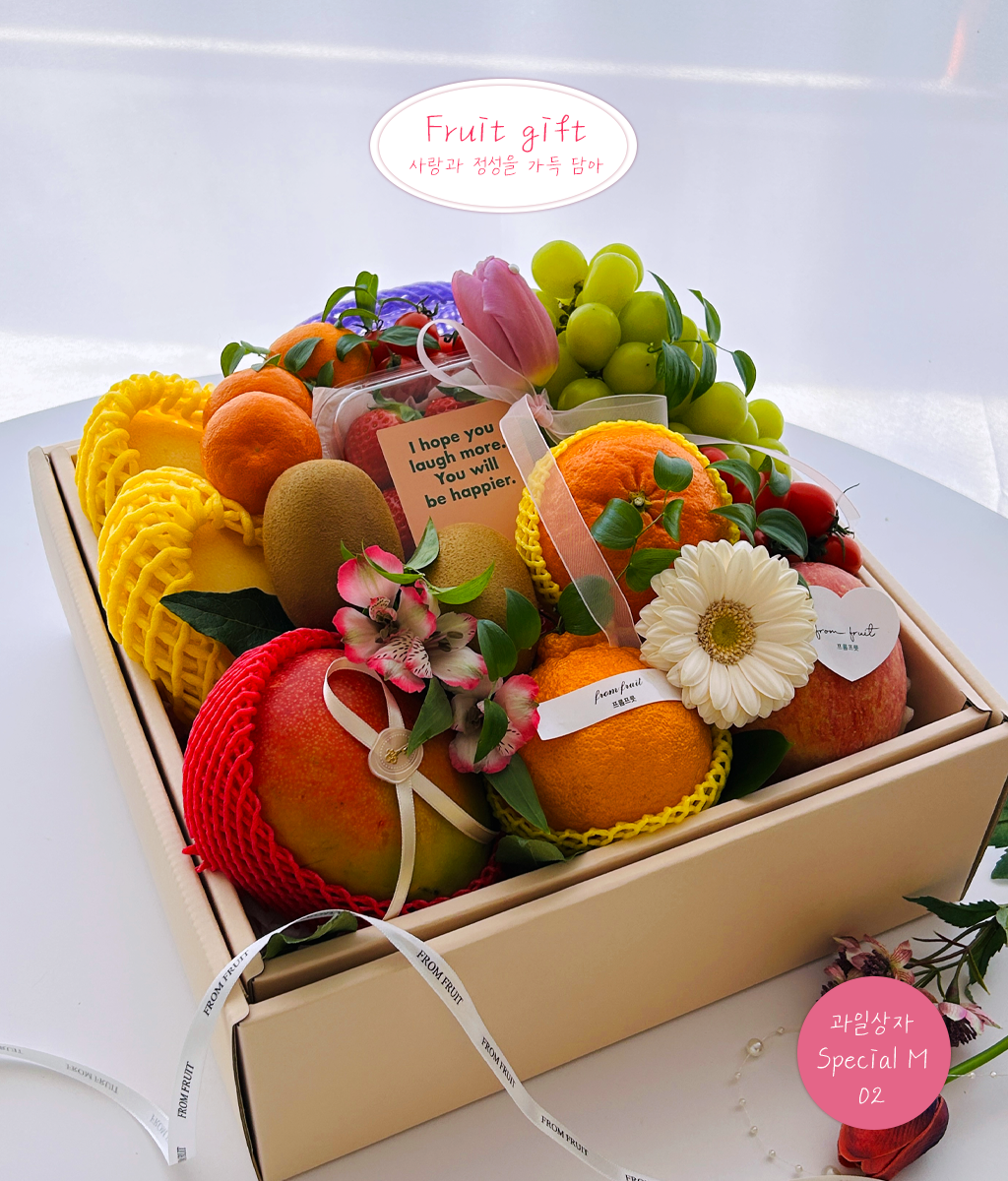 Fruit Gift - Special box M 02 ���� �ɹ��