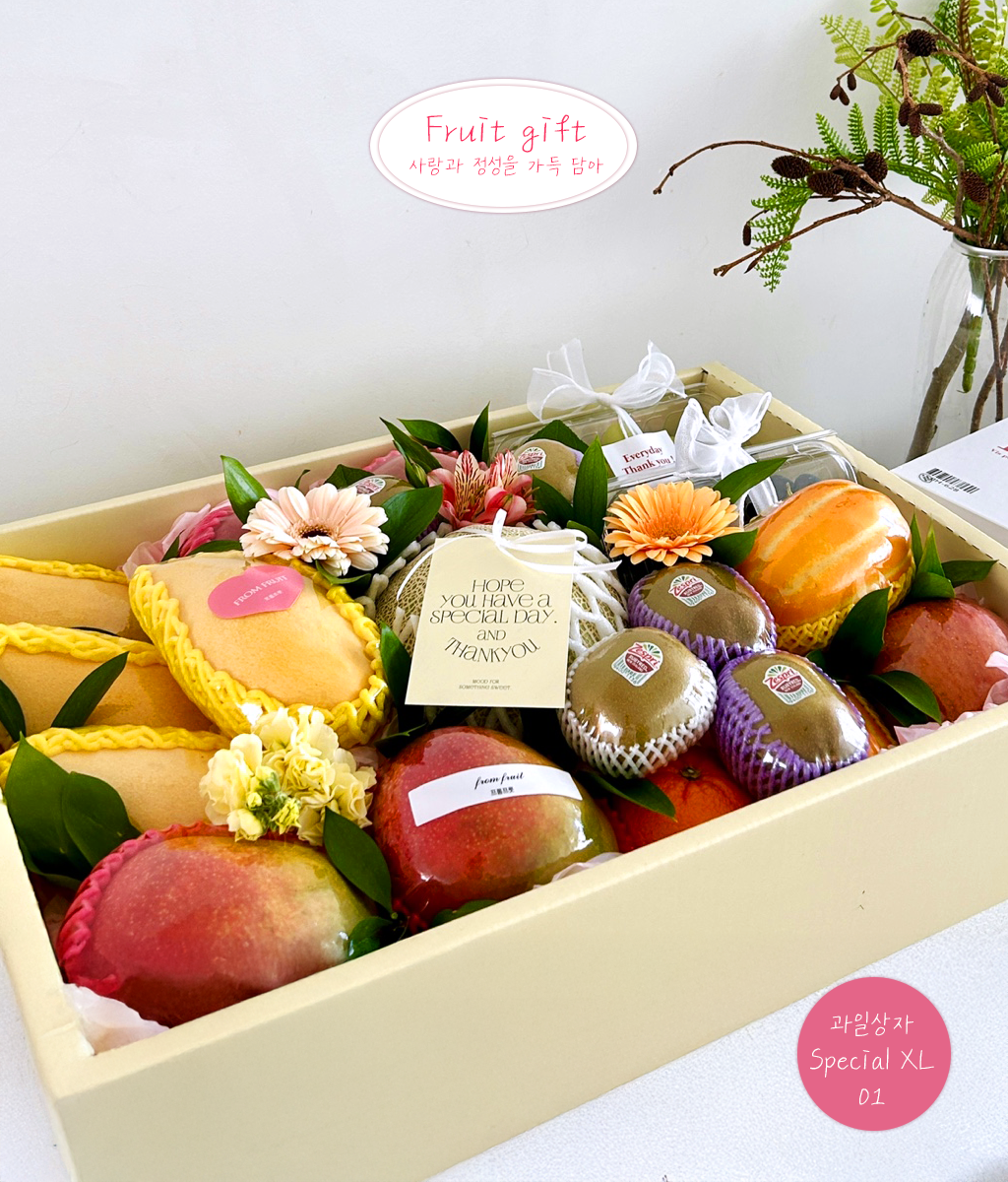 Fruit Gift - Special box XL 01 ���� �ɹ��