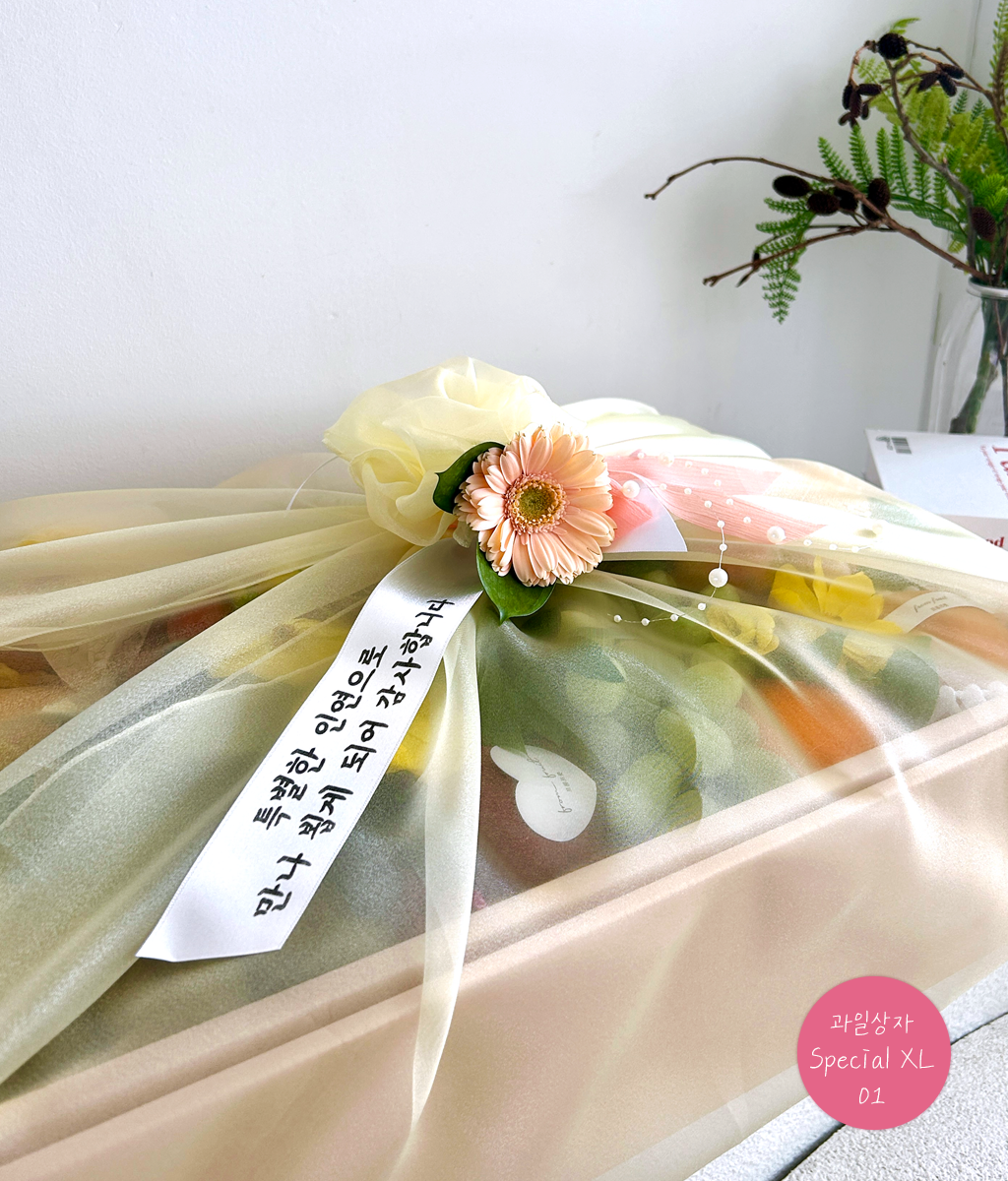 Fruit Gift - Special box XL 01 ���� �ɹ��