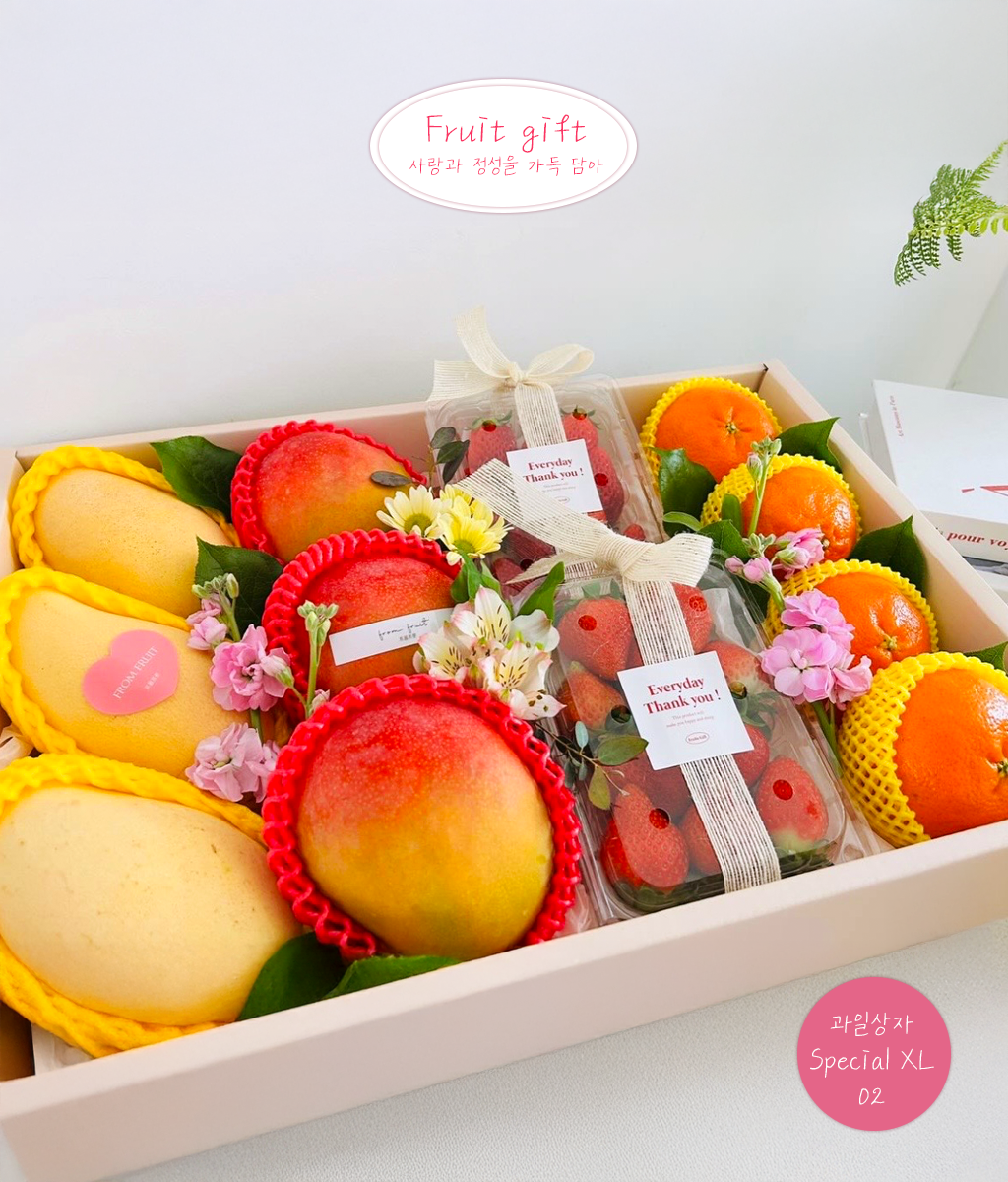 Fruit Gift - Special box XL 02 ���� �ɹ��