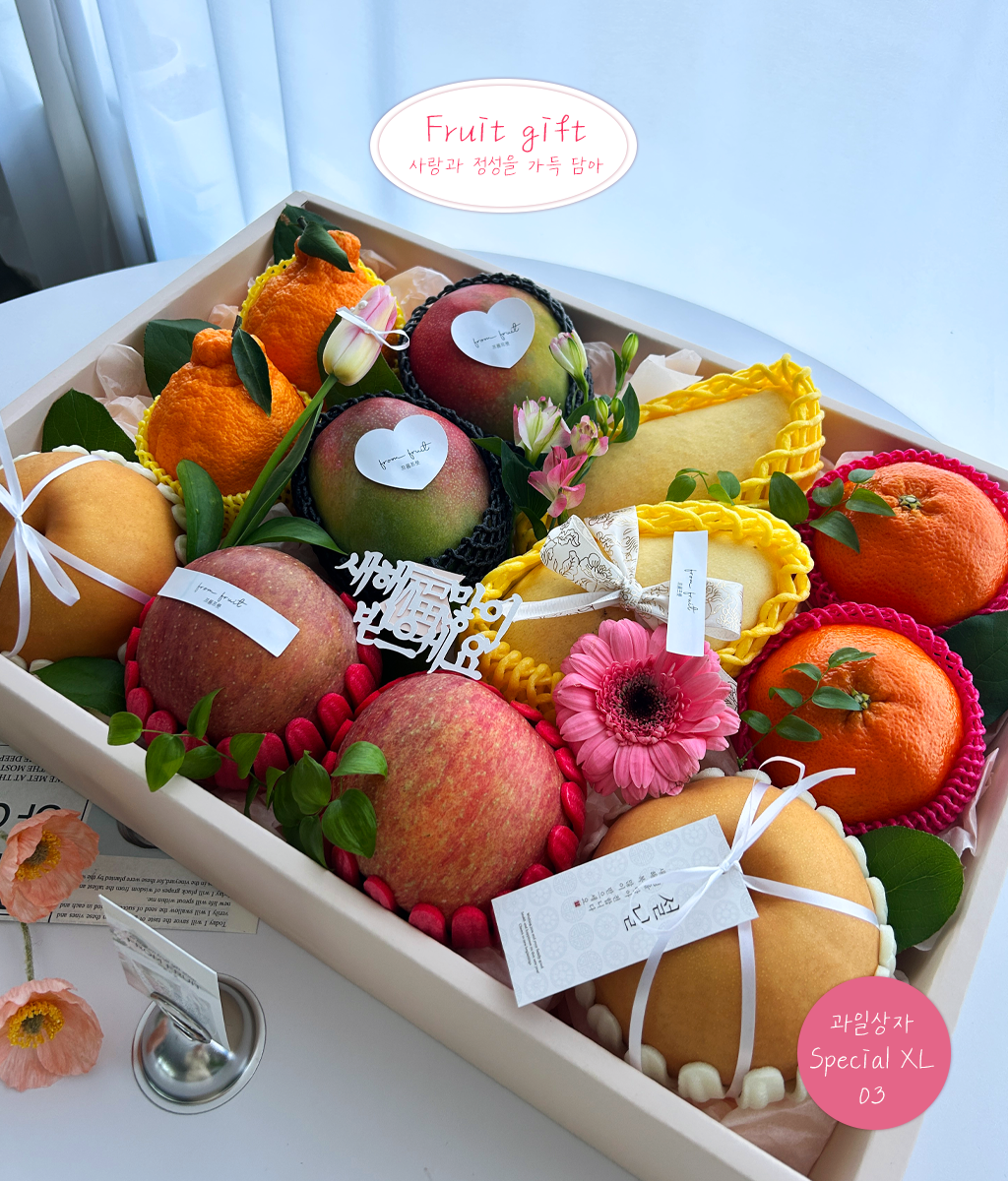 Fruit Gift - Special box XL 03 ���� �ɹ��