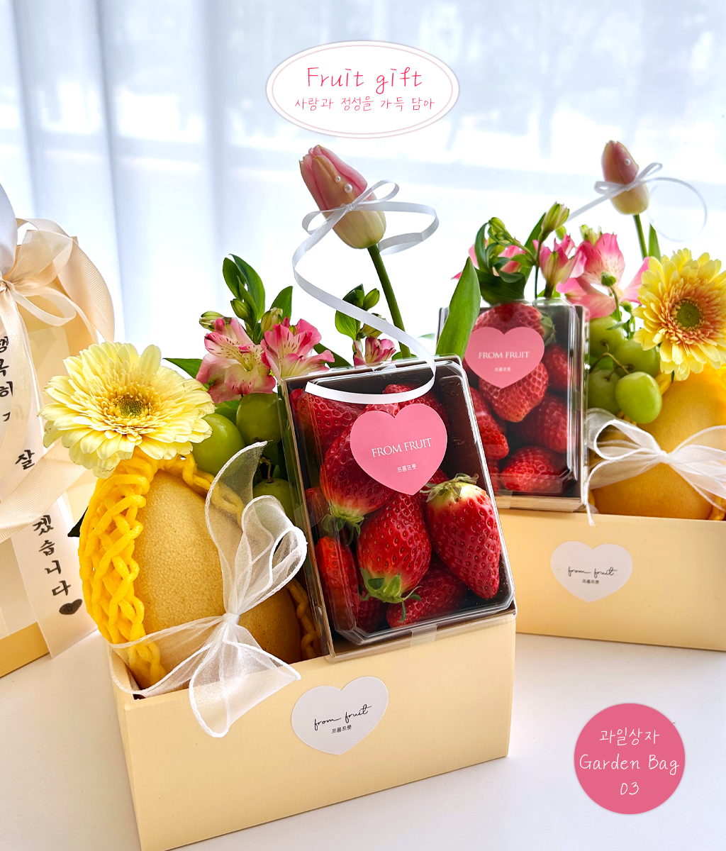 Fruit Gift - Garden bag 03 ���� �ɹ��