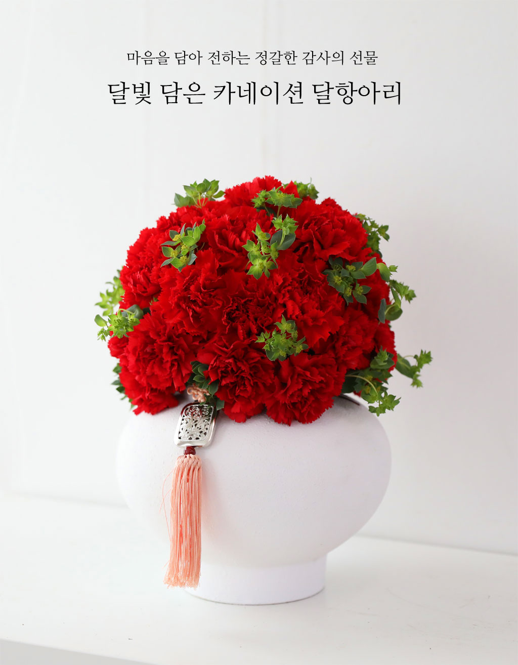 �޺� ���� ī���̼� ���׾Ƹ� ���� �ɹ��