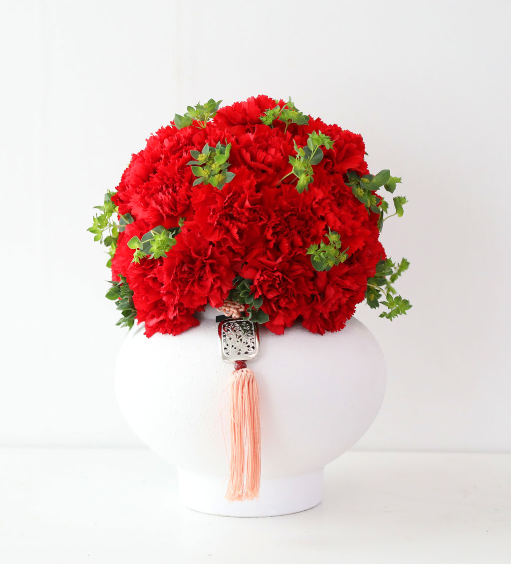 �޺� ���� ī���̼� ���׾Ƹ� ���� �ɹ��