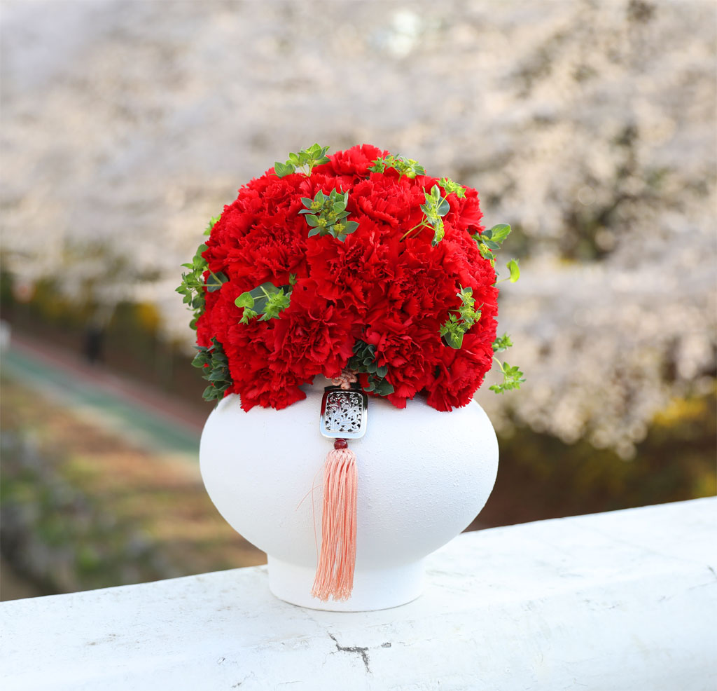 �޺� ���� ī���̼� ���׾Ƹ� ���� �ɹ��