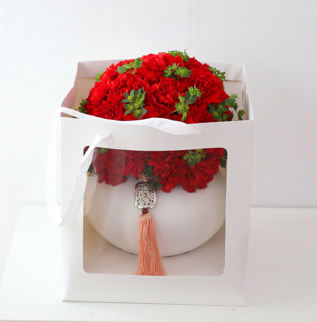 �޺� ���� ī���̼� ���׾Ƹ� ���� �ɹ��