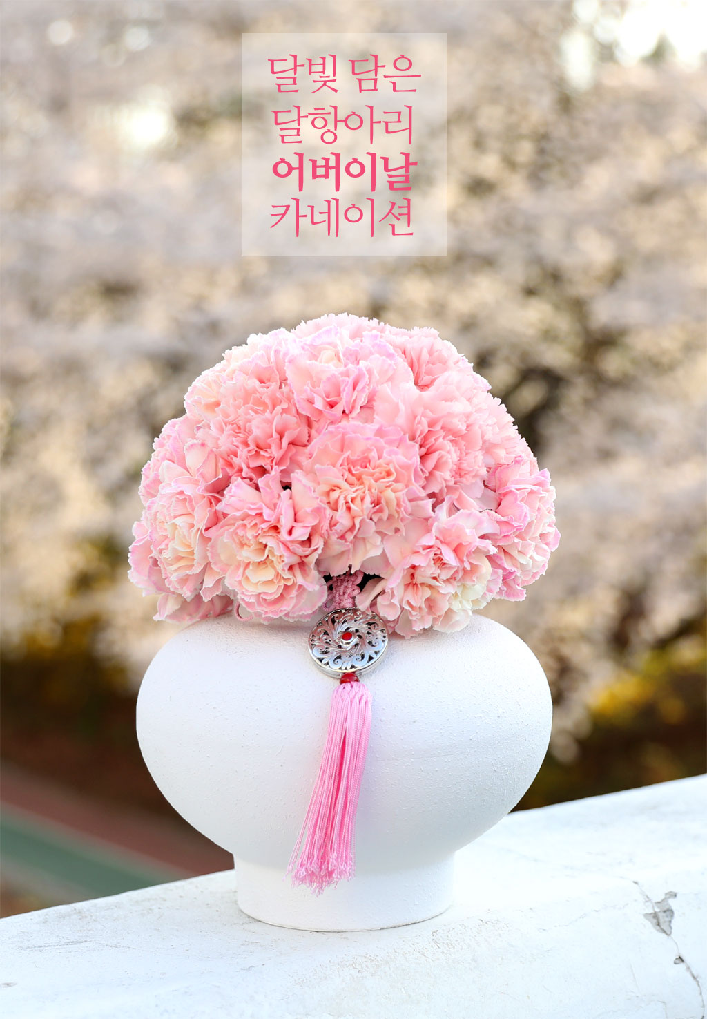 �޺� ���� ī���̼� ���׾Ƹ� - ��ũ ���� �ɹ��