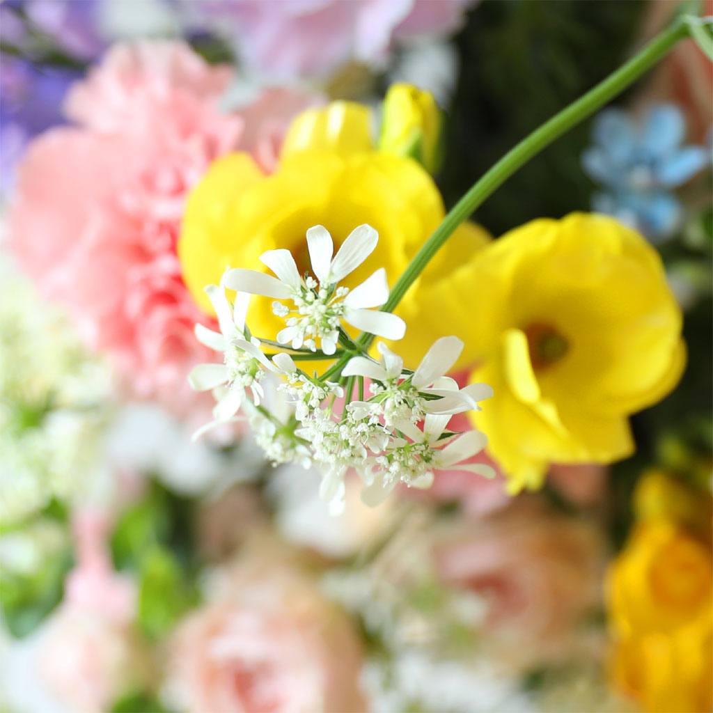 ���� ����� ��� - �θ�Բ� ���� �ɹ��