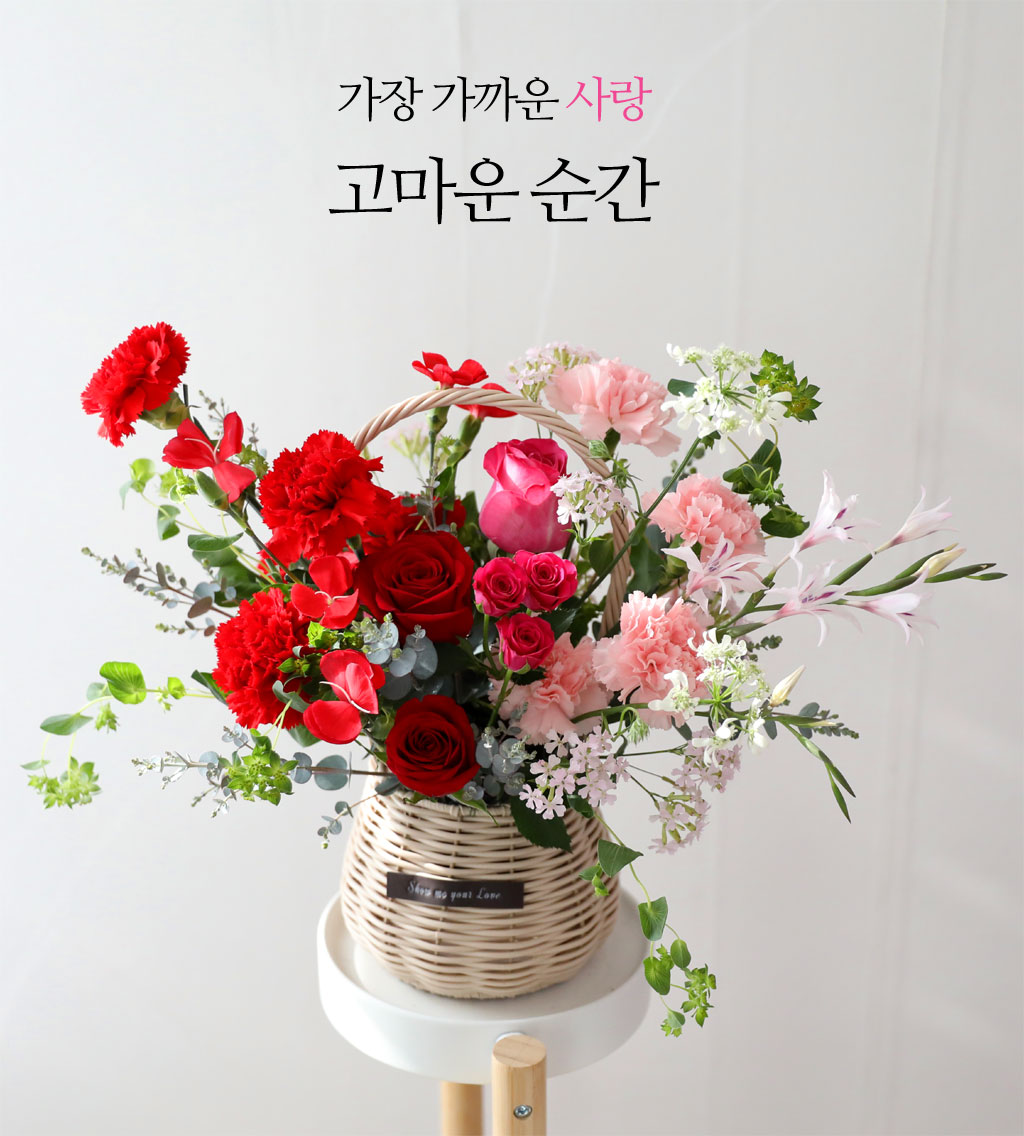 ���� ����� ��� - ������ ���� ���� �ɹ��