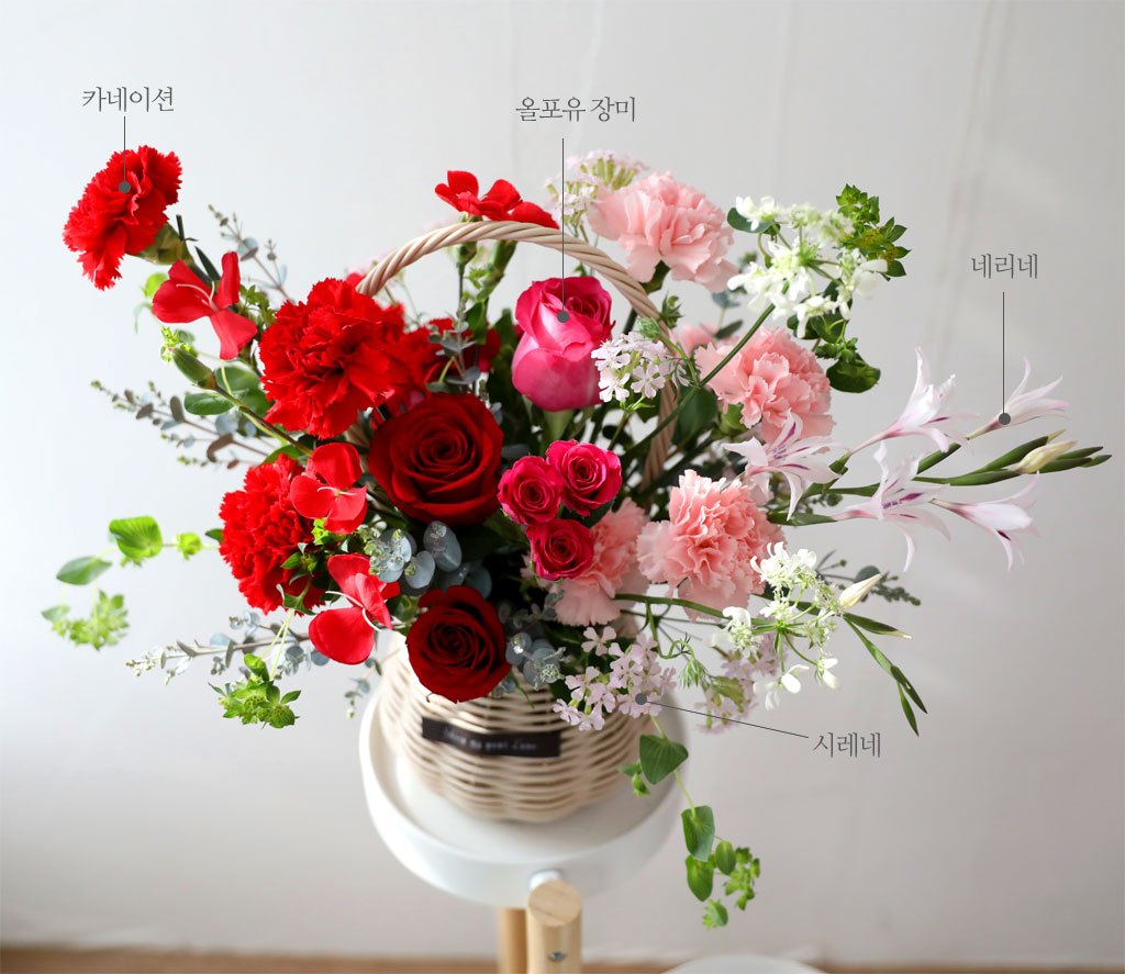 ���� ����� ��� - ������ ���� ���� �ɹ��