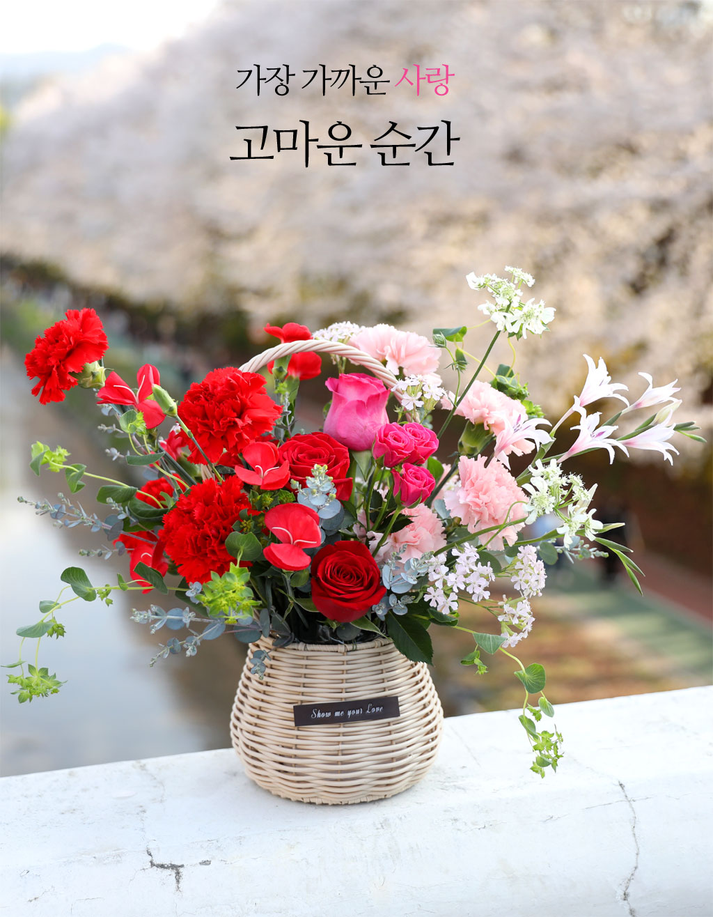 ���� ����� ��� - ������ ���� ���� �ɹ��