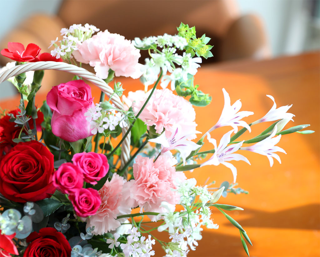 ���� ����� ��� - ������ ���� ���� �ɹ��