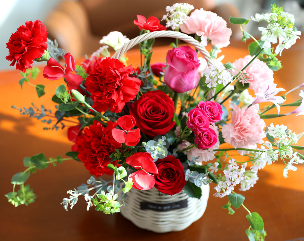 ���� ����� ��� - ������ ���� ���� �ɹ��