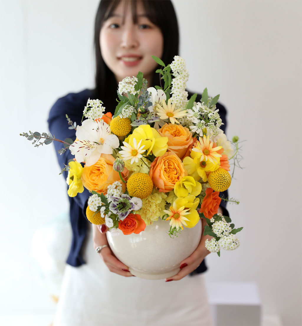 ���� ����� ��� - ������ ���� ���� �ɹ��