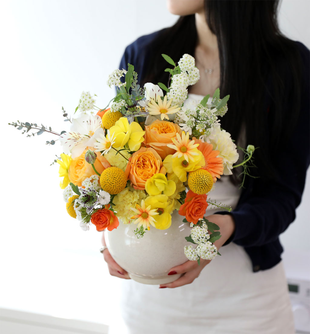 ���� ����� ��� - ������ ���� ���� �ɹ��