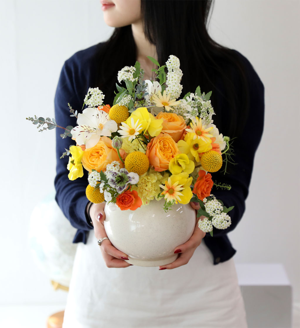 ���� ����� ��� - ������ ���� ���� �ɹ��